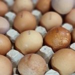 Come montare correttamente gli albumi: il punto dopo il quale diventano polvere, non una nuvola come-montare-correttamente-gli-albumi-il-punto-dopo-il-quale.jpg